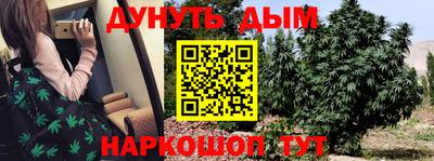 индика Донецк