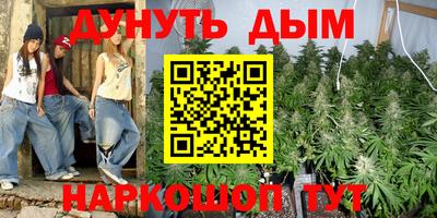 дмт Дубна
