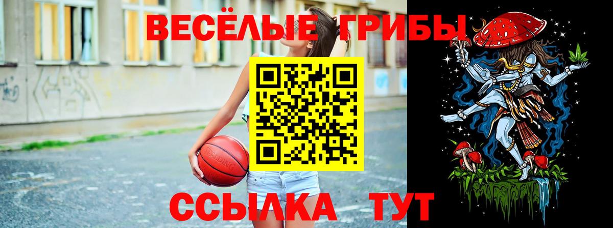Псилоцибиновые грибы Psilocybe  Псилоцибиновые грибы Psilocybine cubensis  Вход с VPN  Мурманск 
